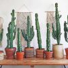 Big Cactus paint by numbers