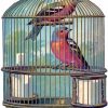 Birds Cage paint by numbers