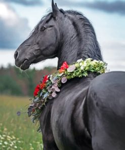 Black Horse paint By Numbers