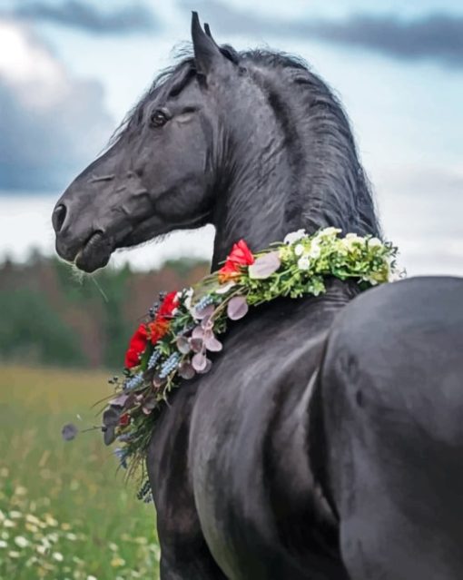 Black Horse paint By Numbers
