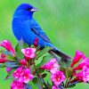 Blue Bird On Pink Flower paint by numbers