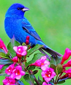 Blue Bird On Pink Flower paint by numbers