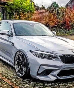 Bmw M2 paint By Numbers