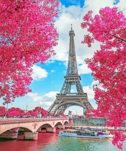 Cherry Blossom Paris paint by numbers