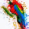 Colorful Parrot paint By Numbers