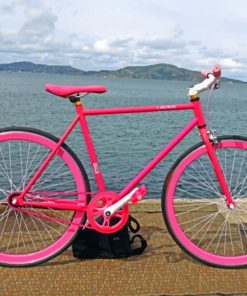 Pink Bicycle paint by numbers