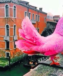 Pink Pigeon paint by Numbers