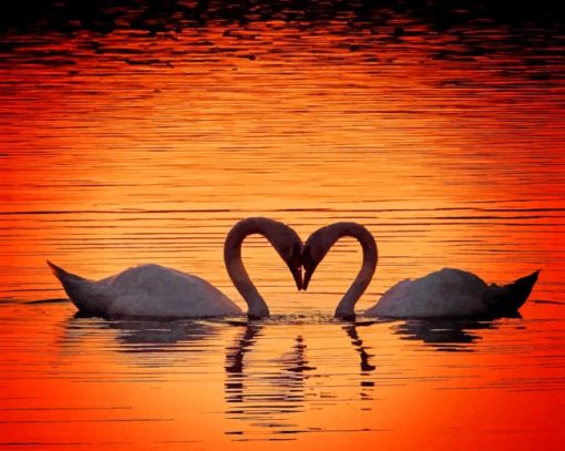 Swans Heart Silhouette paint by numbers