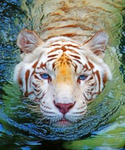 Tiger paint By Numbers