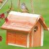 Wooden Birdhouse paint by numbers