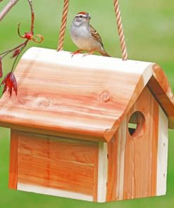 Wooden Birdhouse paint by numbers