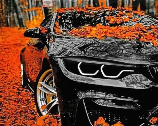 Aesthetic Black Bmw paint By Numbers