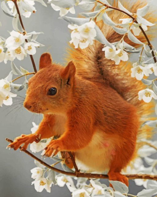 Aesthetic Squirrel paint By Numbers