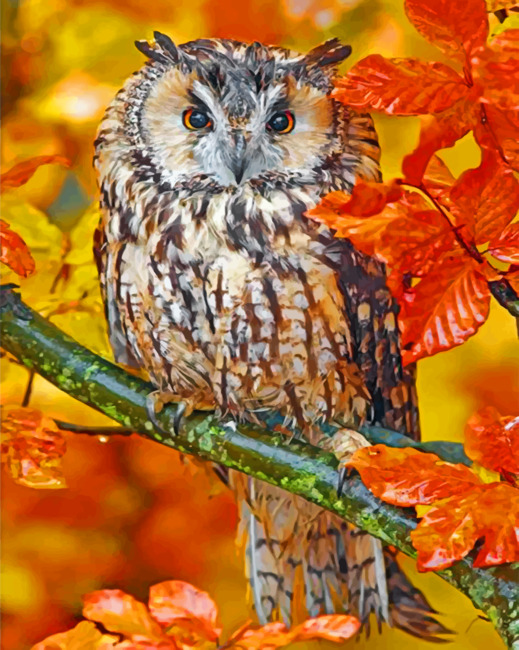 Autumn Owl paint By Numbers