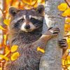 Beautiful Raccoon paint By Numbers
