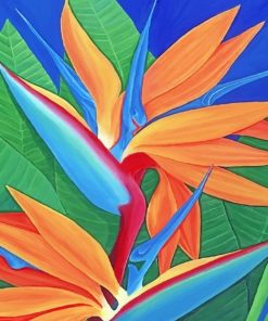 Bird Of Paradise Plant paint by numbers