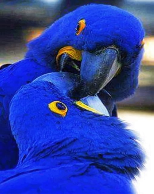 Blue Birds paint By Numbers