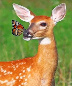 Butterfly On Deer Nose paint By Number