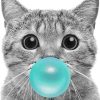 Cat With Bubble Gum paint By Numbers