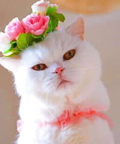 Cat With Flower Crown paint By Numbers