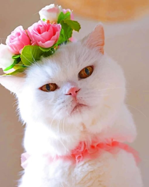 Cat With Flower Crown paint By Numbers