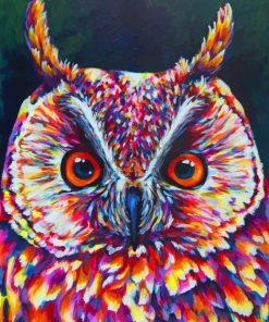 Close Up Owl paint by Numbers