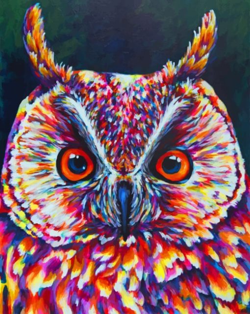 Close Up Owl paint by Numbers