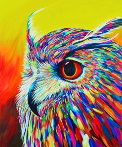 Colorful Owl paint By Numbers