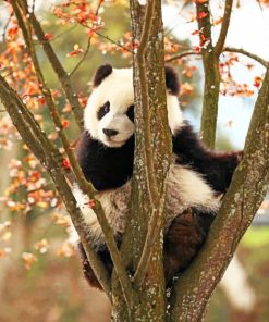 Cute Panda In a Tree paint By Numbers