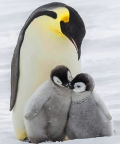 Emperor Penguin With Babies paint By Numbers