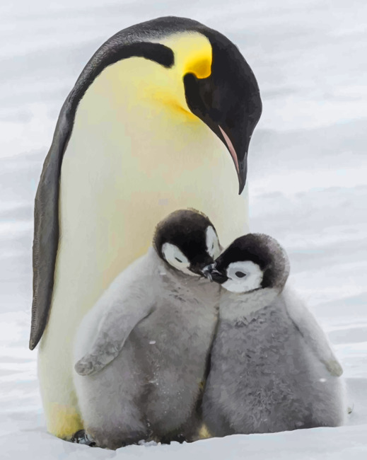 emperor-penguin-with-babies-paint-by-numbers.jpg