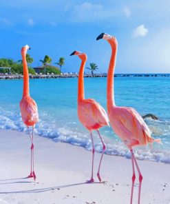 Flamingos On The Beach paint By Numbers