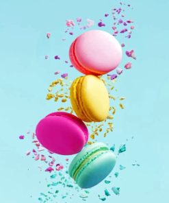 Flying Macaroons paint By Numbers