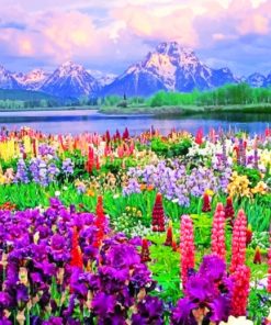 National Teton National Park paint By Numbers