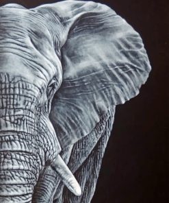 Half Elephant paint by Numbers