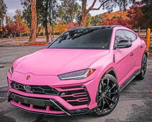 Pink Lamborghini paint By Numbers