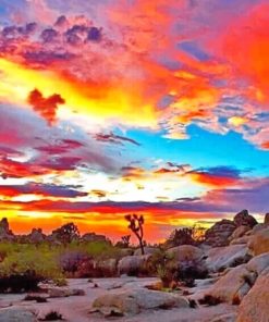 Joshua Tree National Park paint By numbers