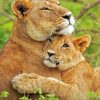 Lioness And Cub paint By Numbers