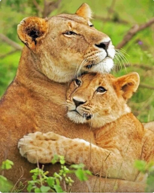 Lioness And Cub paint By Numbers
