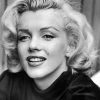 Black And White Marilyn Monroe paint By Numbers