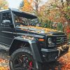 Autumn G Wagon paint By Numbers