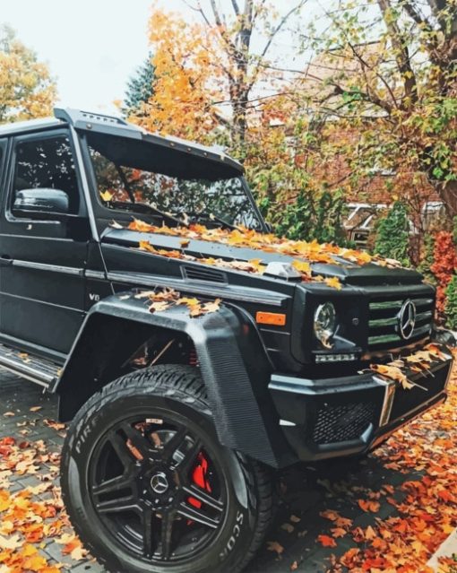 Autumn G Wagon paint By Numbers