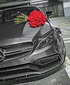 Red Roses On Mercedes paint By Numbers