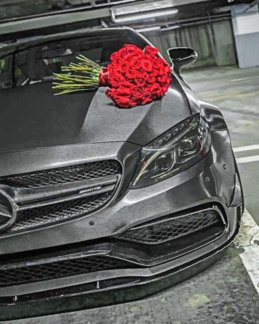 Red Roses On Mercedes paint By Numbers
