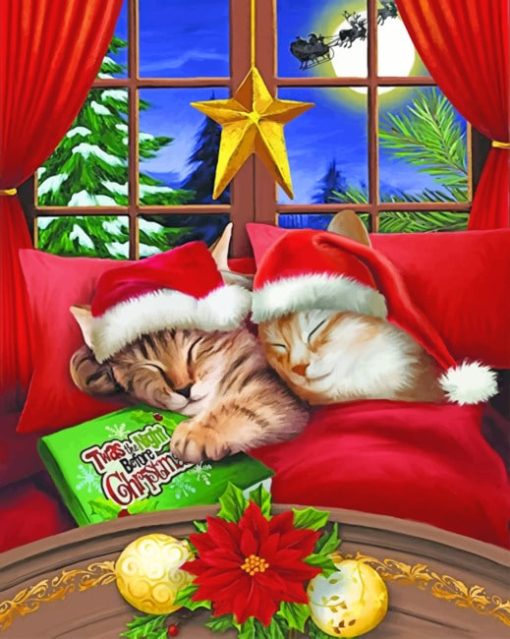 Merry Christmas Cats paint by numbers