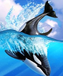 Orca Whale paint by Numbers