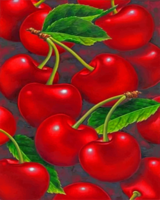 Red Cherry paint By Numbers