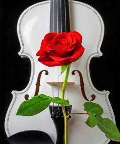 Red Rose With Violin paint By Numbers