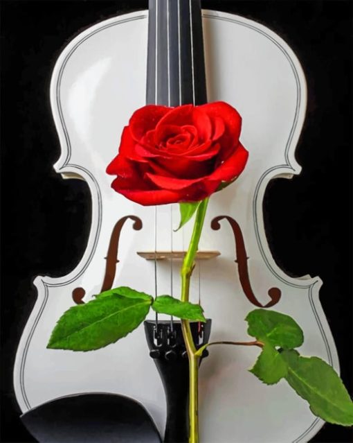 Red Rose With Violin paint By Numbers
