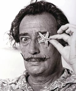 Salvador Dali paint By numbers